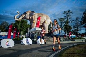 BIB: 
                            <button type="button" onclick="openModal(26541553)" class="btn btn-primary btn-sm float-right btn-popup" data-toggle="modal" data-target=".modal-high-quality">
                        <i class="fas fa-shopping-cart"></i> Add to Cart
                    </button>
                                            <button type="button" onclick="isThisMe(26541553, true)" class="btn btn-success btn-sm float-right btn-popup btn-isme hidden" data-toggle="tooltip" data-placement="bottom" title="นี่คือรูปของคุณใช่ไหม คลิกที่นี่เพื่อเอาเข้าอัลบั้ม">
                        <i class="fas fa-plus"></i> Add to album
                    </button>
                    <button type="button" onclick="isThisMe(26541553, false)" class="btn btn-warning btn-sm float-right btn-popup btn-isnotme hidden">
                        <i class="fas fa-ban"></i> Remove from album
                    </button>